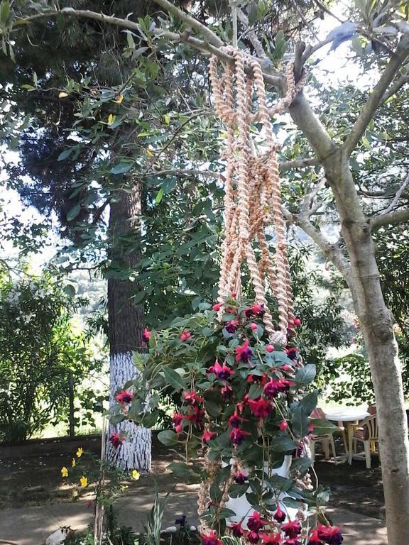 Garden Bungalow Valentina Stavros  Exterior photo